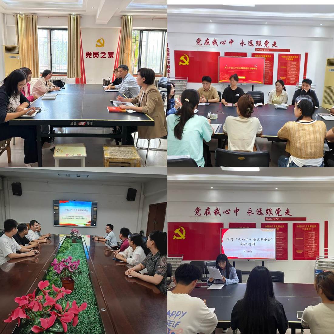 e0c47177ad5eb05a539afad174261dc